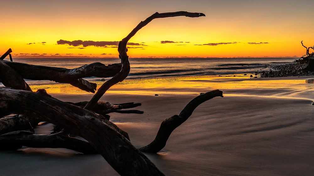 Stunning Sunrise Over Driftwood Beach, Jekyll Island, Georgia Stunning Sunrise Over Driftwood Beach, Jekyll Island, Georgia