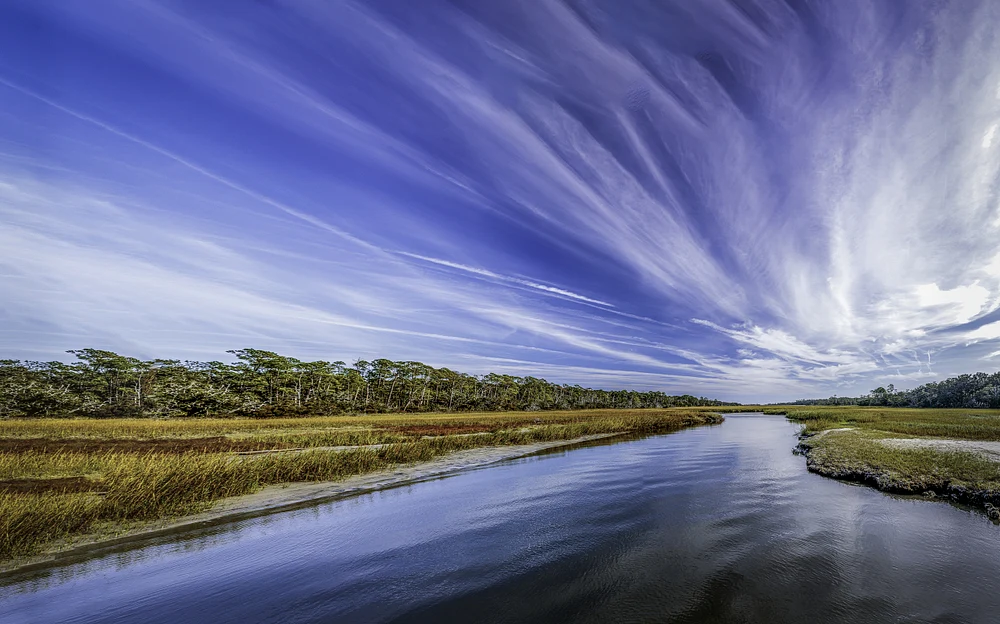Serene Clam Creek Landscape on Jekyll Island, Georgia