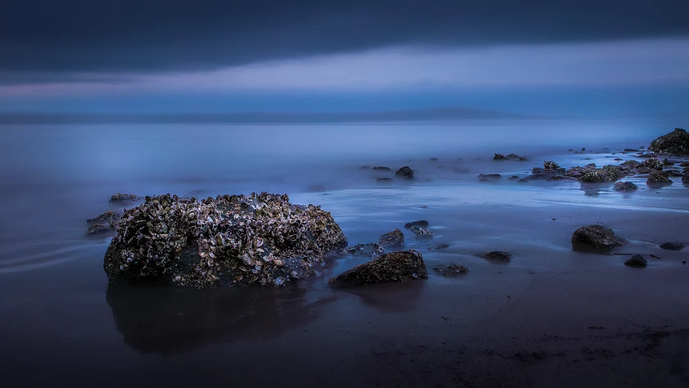 Oyster-covered rocks along the calm Jekyll Island shoreline before sunrise under a blue cloudy sky