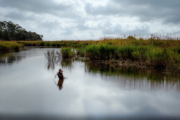 Calm Wetland Waterway Under a Dramatic Cloudy Sky - Healthcare - Thomas Tanner
