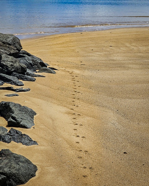 aoa beach footprints - American Samoa - ChristineGarbe