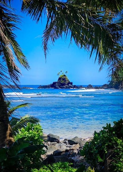 rock island framed by palms - American Samoa - ChristineGarbe