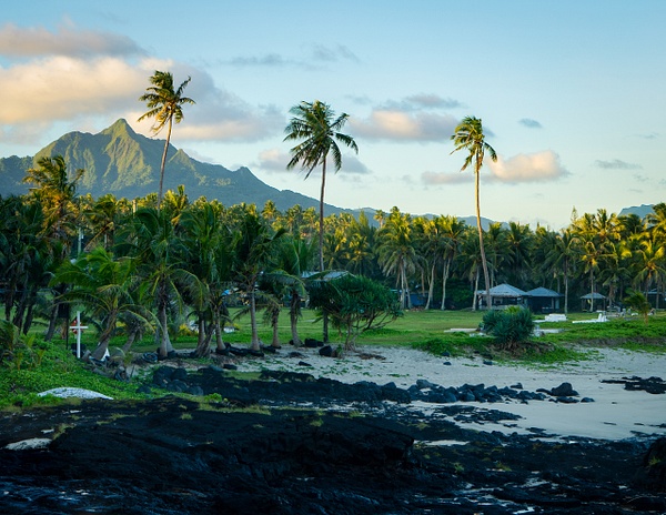 Turtle Shark three palms - American Samoa - ChristineGarbe