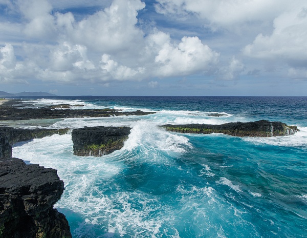 turtle and shark 1 - American Samoa - ChristineGarbe