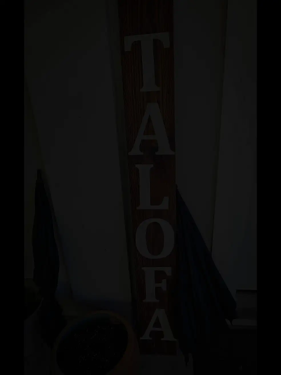 American Samoa 2026