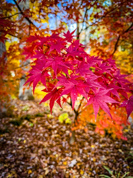 GregWalterPhotography