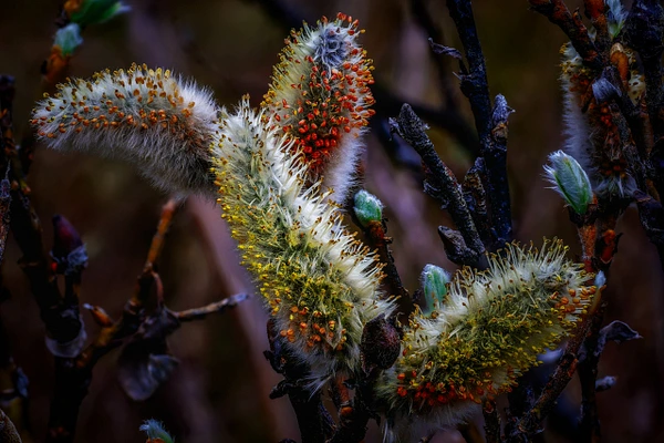 Bradley Barnes Photography