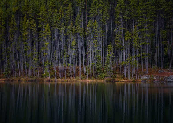 _5II2213.jpg - Canadian Rockies - bradleybarnesphoto