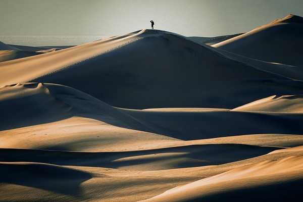 Mesquite Dunes Explorer - Deserts - bradleybarnesphoto