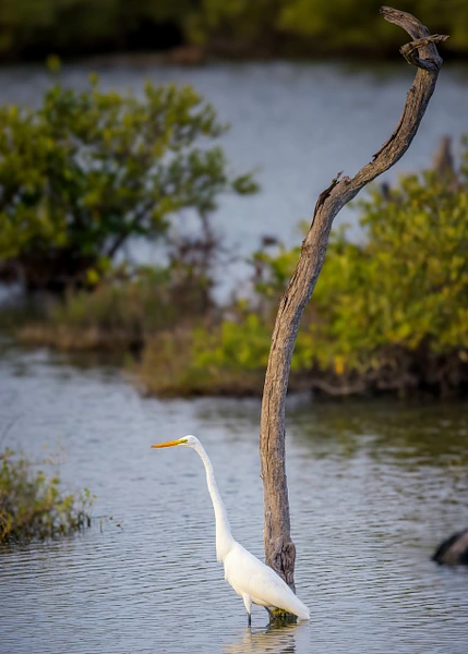 Bradley Barnes Photography