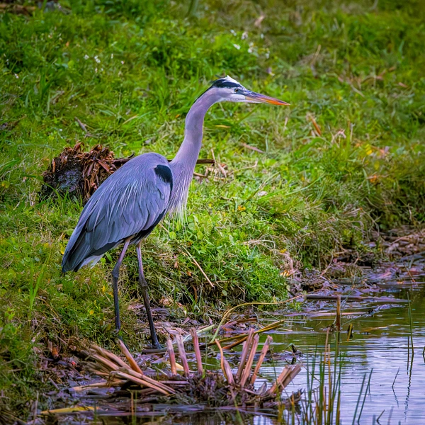 Bradley Barnes Photography