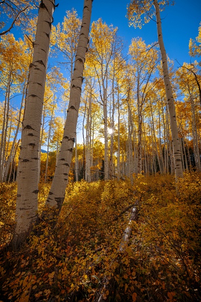 _R5_0259.jpg - Colorado - bradleybarnesphoto
