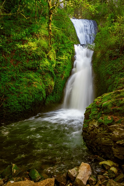 _5II7512.jpg - Columbia River Gorge - bradleybarnesphoto