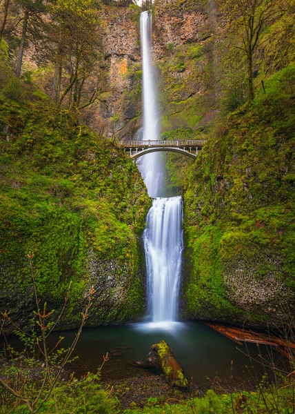 _5II7539.jpg - Columbia River Gorge - bradleybarnesphoto