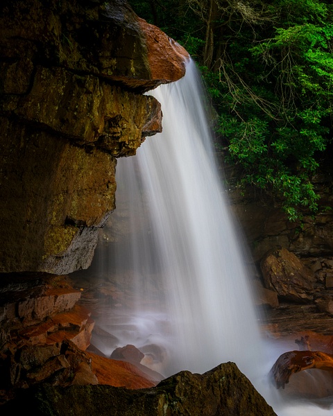 _5II0077.jpg - Dolly Sods, West Virginia - bradleybarnesphoto
