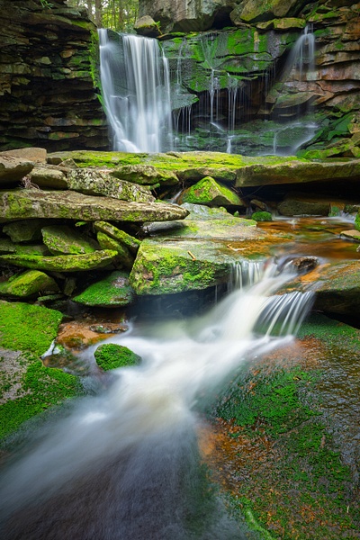 _5II9975.jpg - Dolly Sods, West Virginia - bradleybarnesphoto