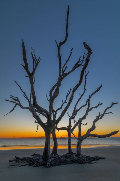 _5II5046-HDR-Edit-Edit.jpg - Low Country - bradleybarnesphoto