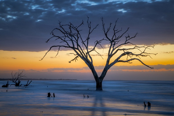 _5II2797.jpg - Low Country - bradleybarnesphoto
