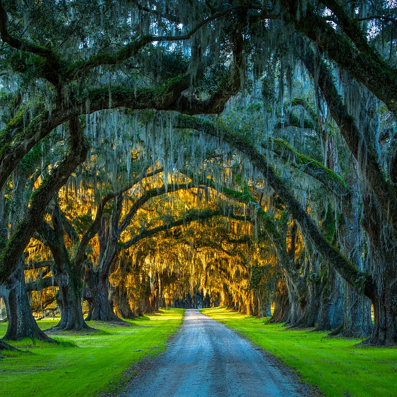 Low Country