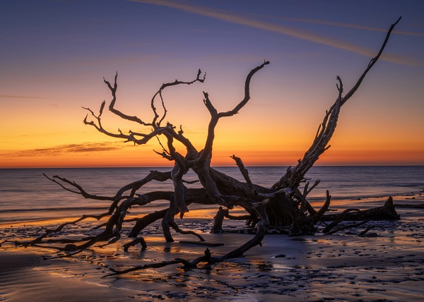 _5II3488.jpg - Low Country - bradleybarnesphoto