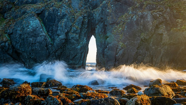 _R5_1135.jpg - Oregon Coast - bradleybarnesphoto