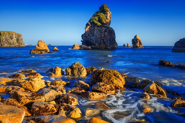 _R5_1099.jpg - Oregon Coast - bradleybarnesphoto