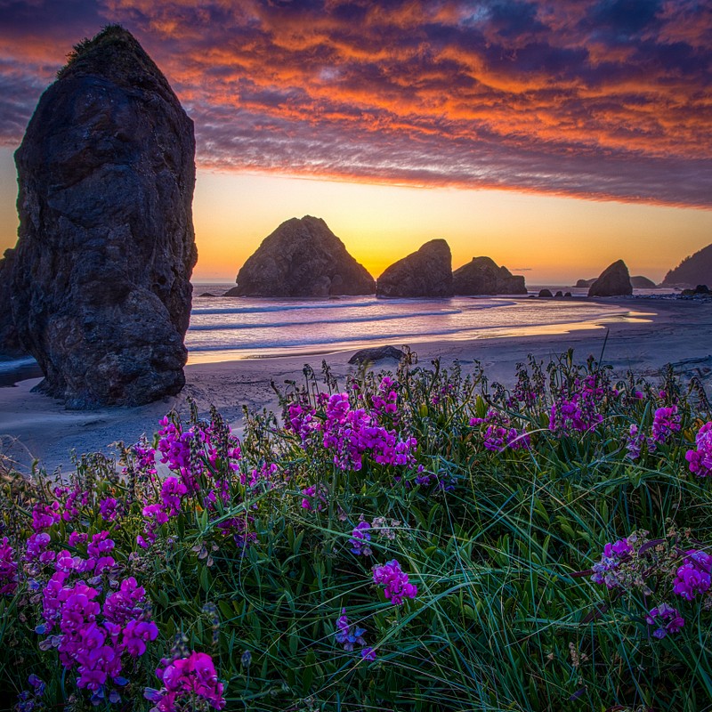 Oregon Coast