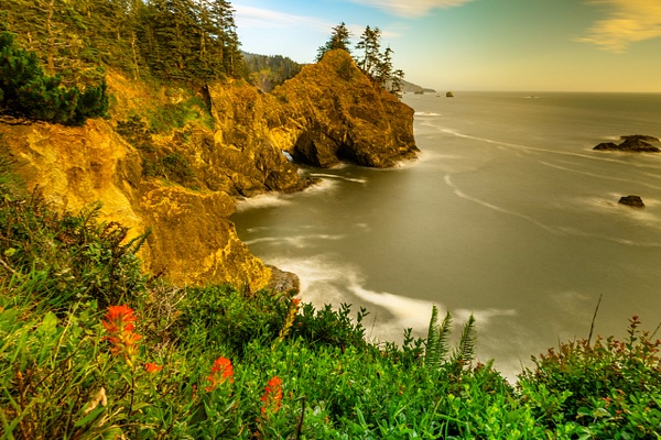 _R5_1665.jpg - Oregon Coast - bradleybarnesphoto