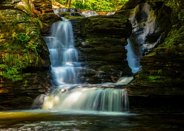_5II3447-HDR.jpg - Ricketts Glen - bradleybarnesphoto