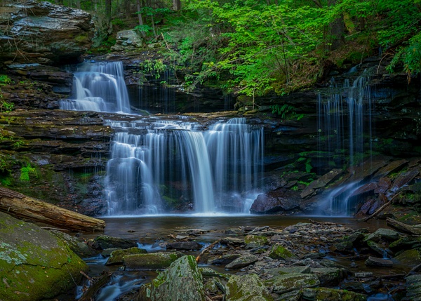 _5II3516-HDR.jpg - Ricketts Glen - bradleybarnesphoto