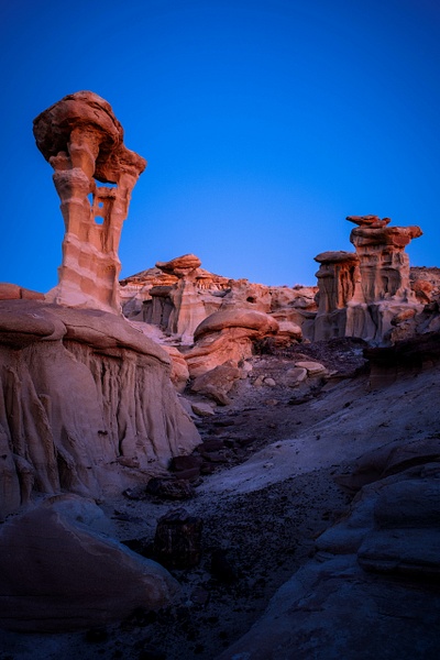 Alien Throne - Portfolio - bradleybarnesphoto