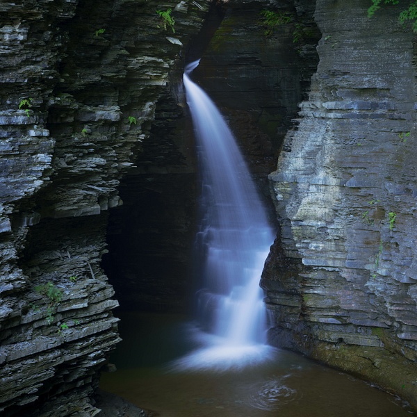 _5II3174.jpg - Upstate NY - bradleybarnesphoto