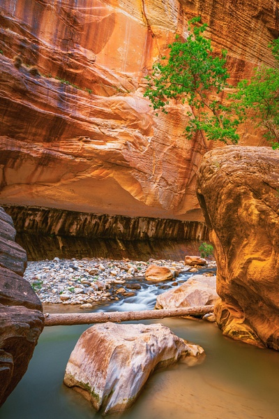 _5II6306.jpg - Utah - bradleybarnesphoto