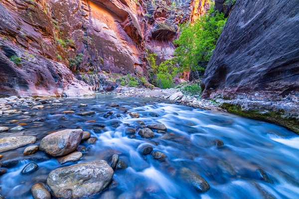 $$$/CRaw/Filter/Title/Denoise=Denoise - Utah - bradleybarnesphoto