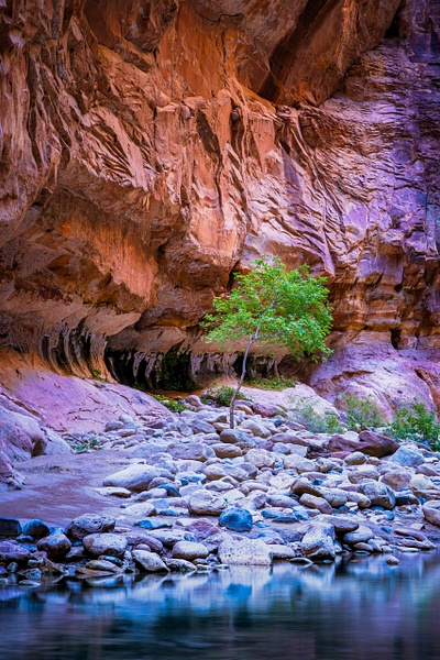 _5II6270.jpg - Utah - bradleybarnesphoto