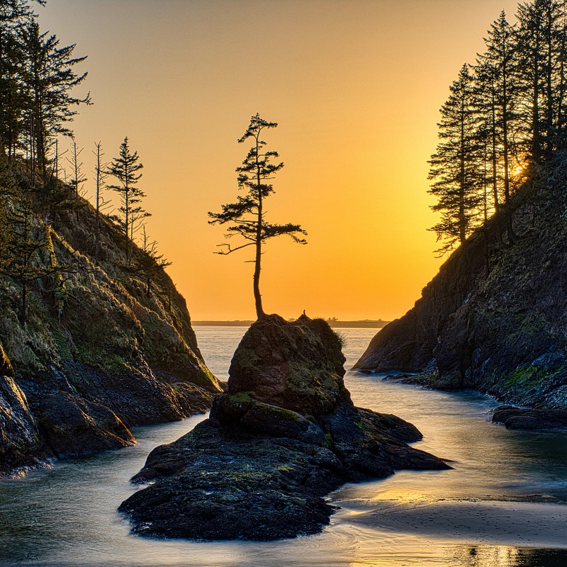 Washington State