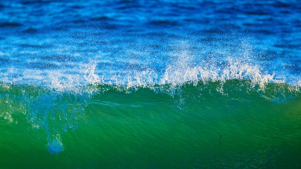 _5II8067.jpg - California Coast - bradleybarnesphoto