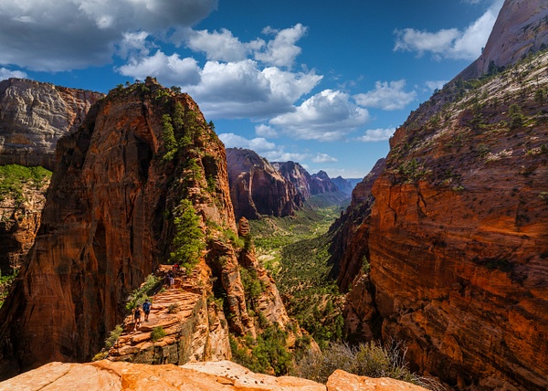 Angel's Landing Trail in Zion National Park - Mountains - Bradley Barnes Photography