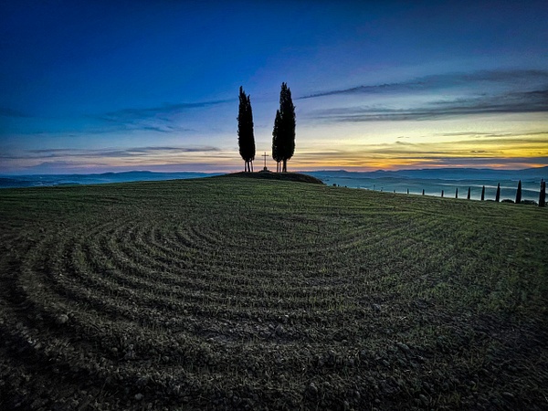 iPhone Tuscany Trees at Dawn 2 - Landscapes - SlickPic Demo Photography