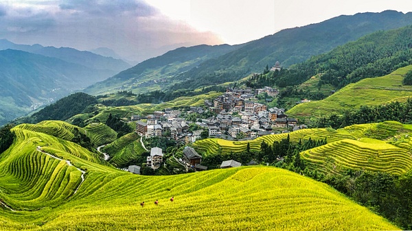 China Rice Fields (iPhone) - Landscapes - SlickPic Demo Photography