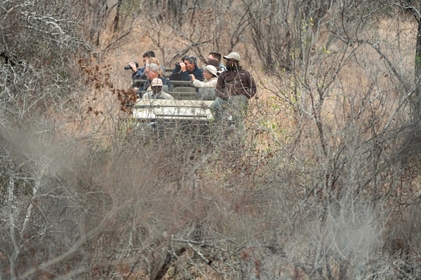 In The Bush - A Glimpse of Africa - Jeff Marcowitz Photography