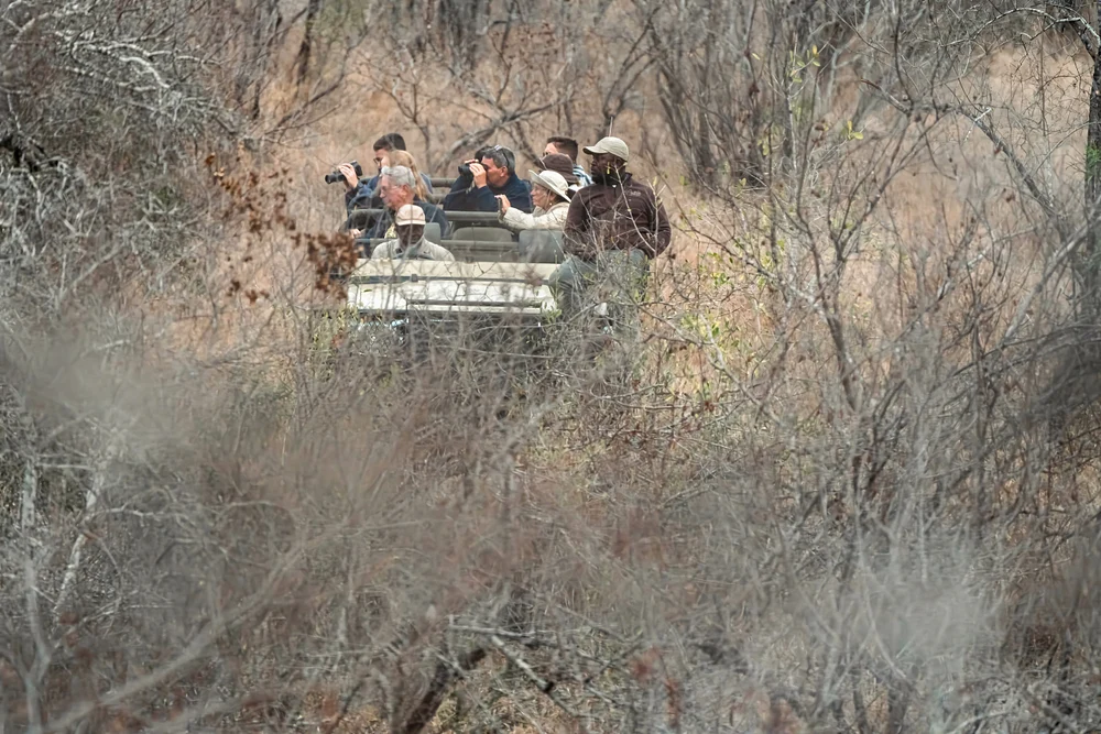 In The Bush