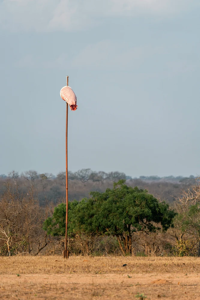 Giraffe Feeding Station