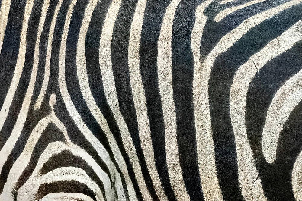 White On Black or Black on White?