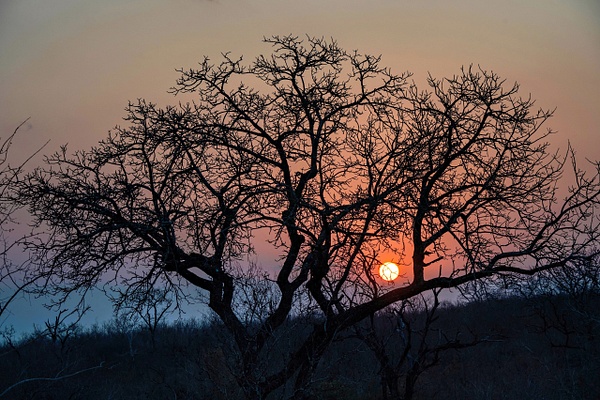 Sunset - A Glimpse of Africa - Jeff Marcowitz Photography