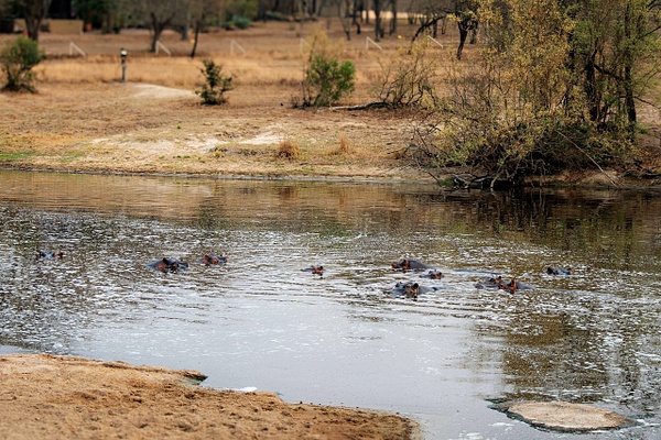 20 Eyes - A Glimpse of Africa - Jeff Marcowitz Photography