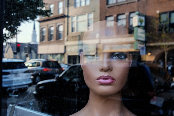 I Have You In My Sights - 2025 - Jeff Marcowitz Photography