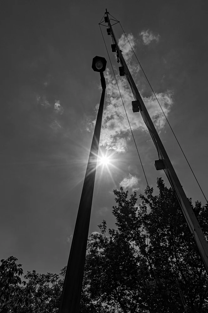 Looking Up