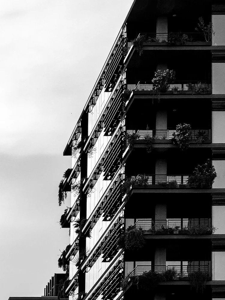Balconies In Bloom