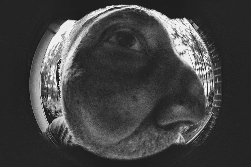 20250604_wrong lens-A7C02342-EditLN.jpg